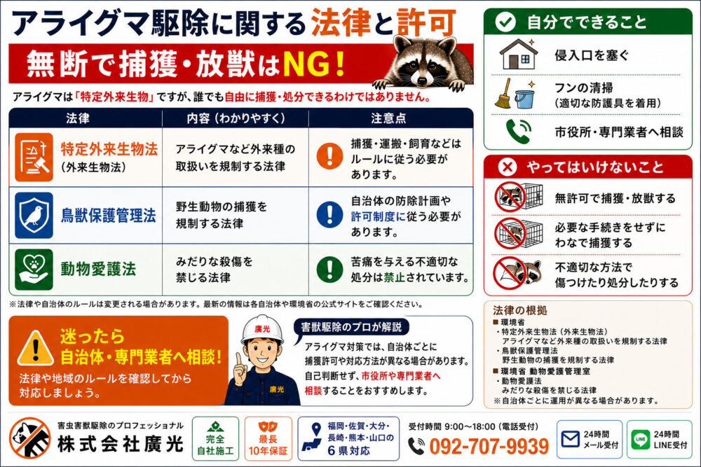 アライグマ駆除に関する法律と許可
