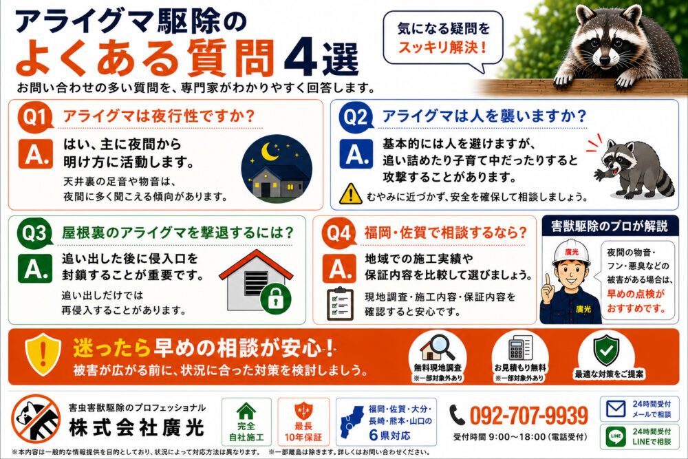 アライグマ駆除に関するよくある質問と回答(Q&A)