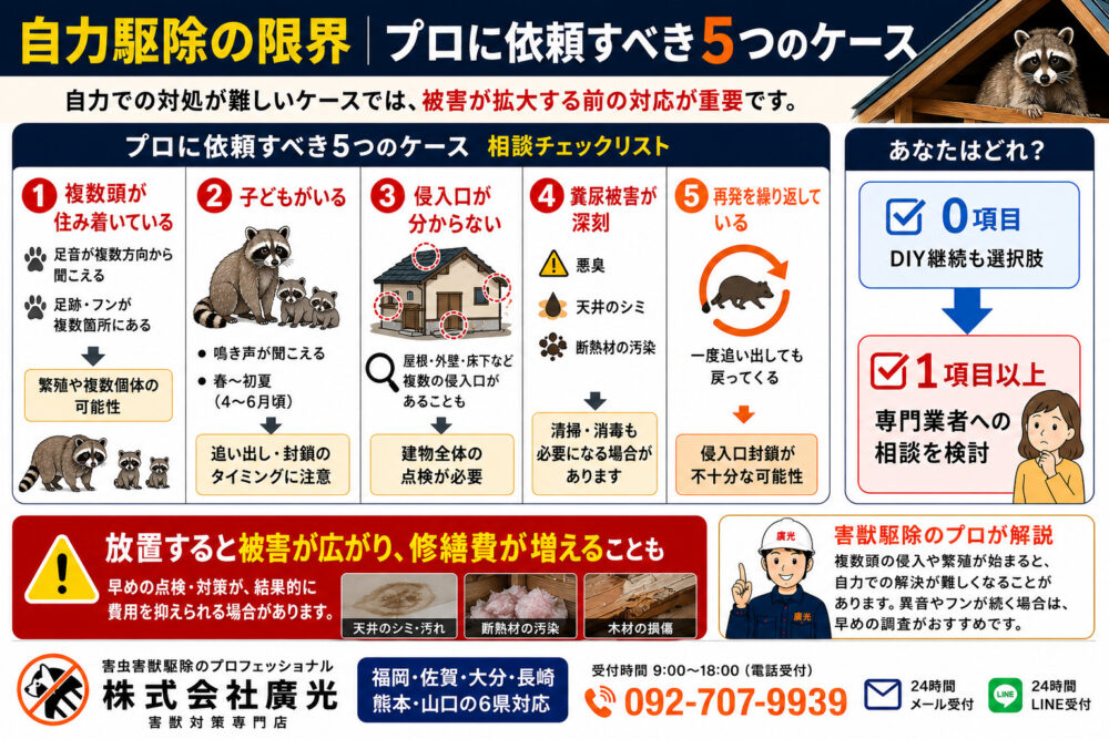自力駆除の限界|プロに依頼すべき5つのケース