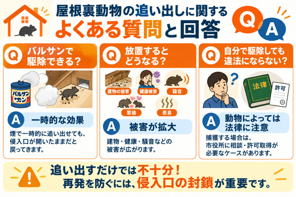 屋根裏動物の追い出しに関するよくある質問と回答