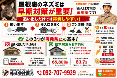 屋根裏 ネズミ