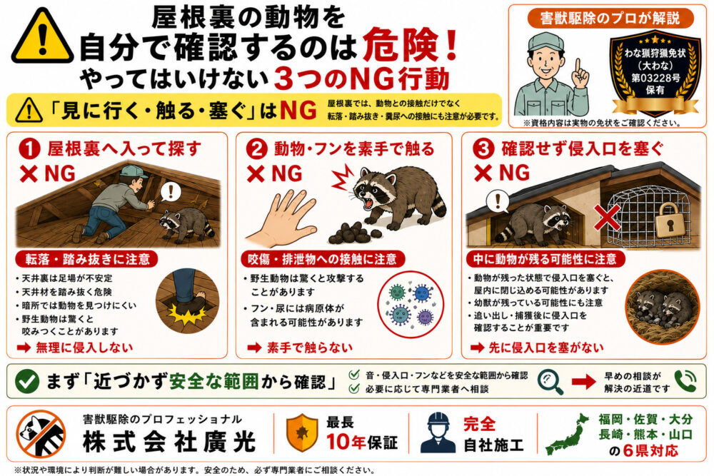 屋根裏の動物を自分で確認するのは危険｜3つのNG行動