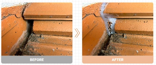 熊本　イタチ駆除　事例