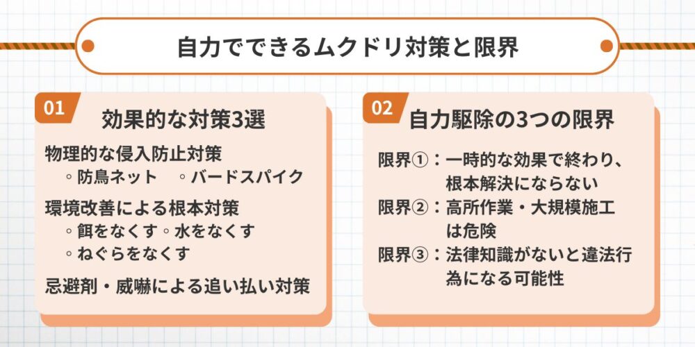 自力でできるムクドリ対策と限界