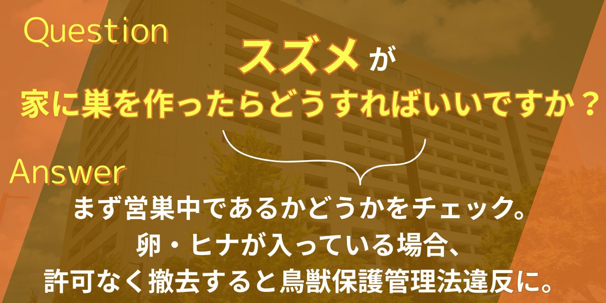 スズメが家に巣を作ったらどうすればいいですか？
