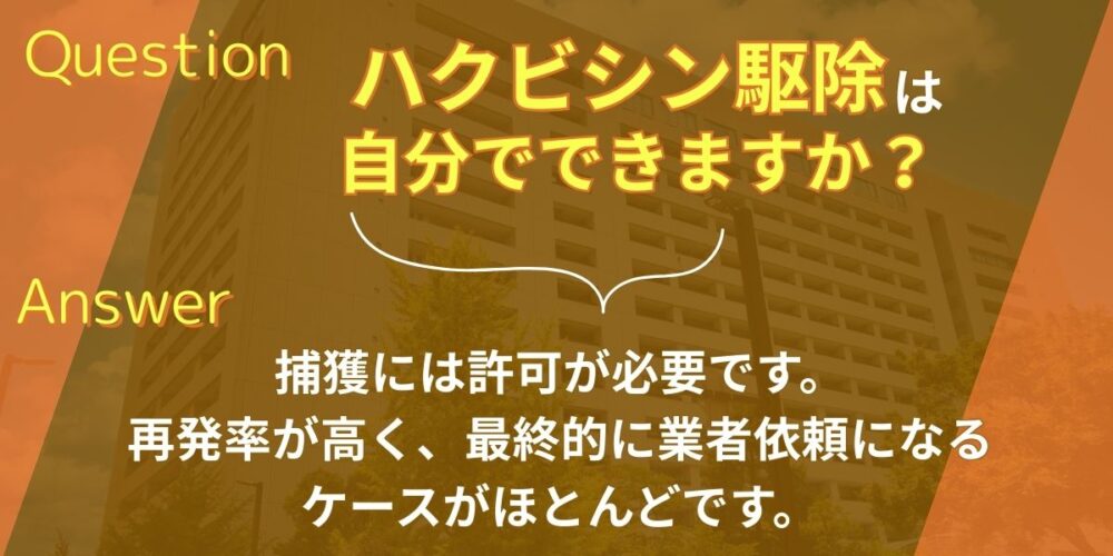 ハクビシン駆除は自分でできますか？