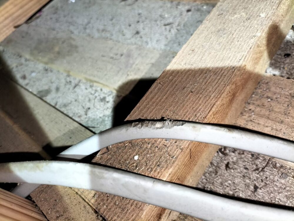 佐賀県唐津市　ネズミによる被害　S様邸