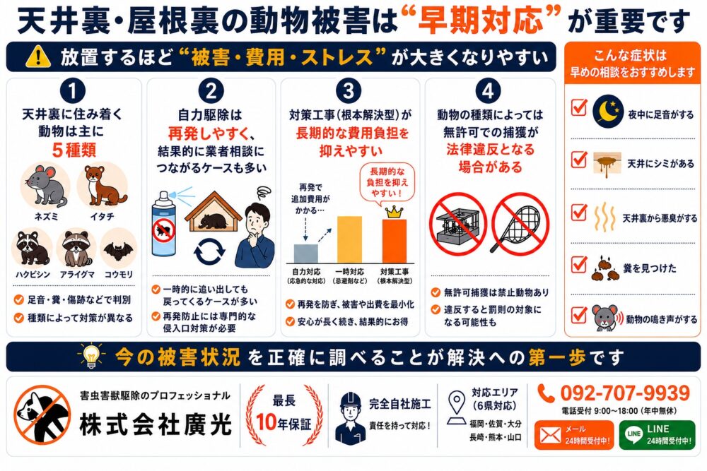 まとめ：天井裏の動物対策は早めの対応がカギ