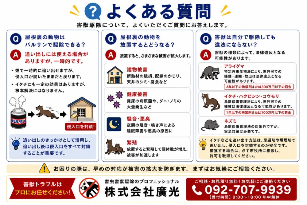 屋根裏動物の追い出しに関するよくある質問と回答