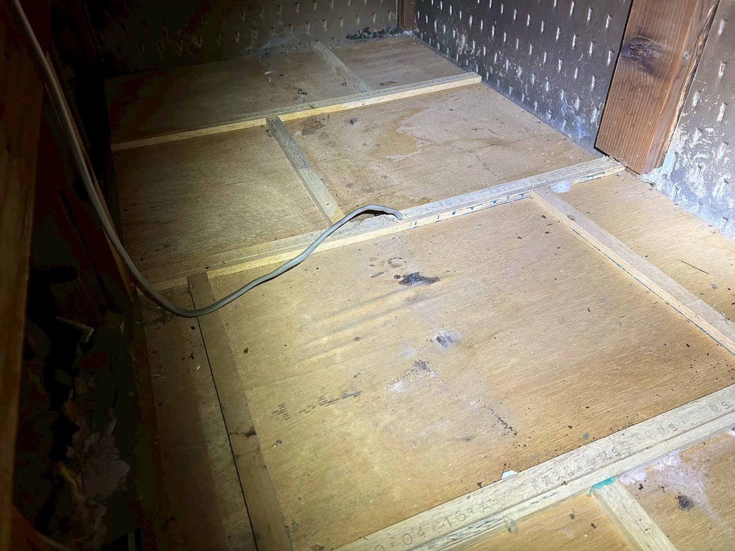 山口県宇部市　アライグマによる被害　N様邸　駆除実績