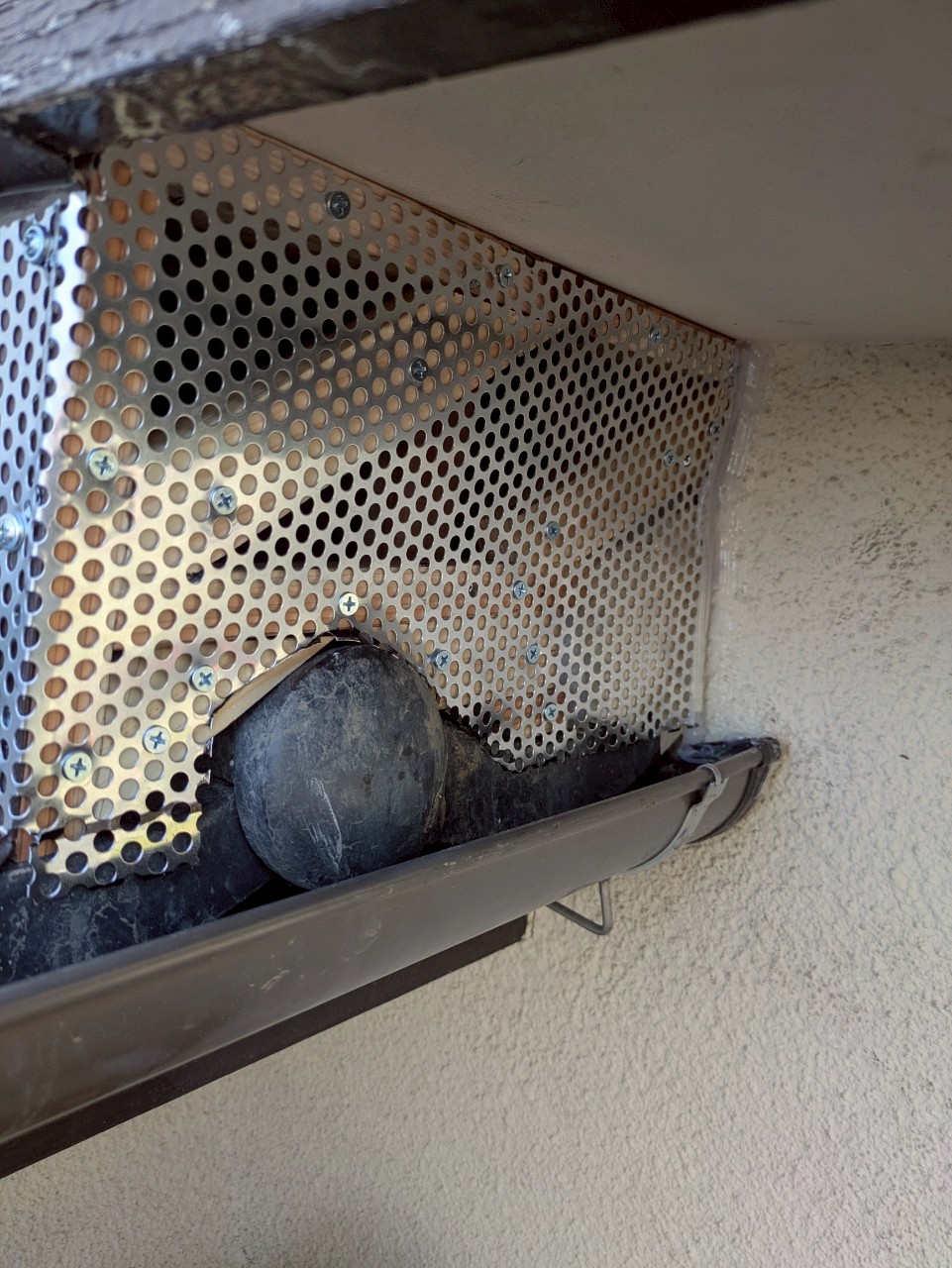 山口県宇部市　アライグマによる被害　N様邸　駆除実績