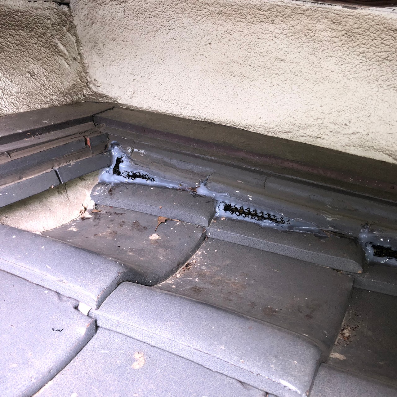 佐賀県伊万里市　アライグマによる被害　M様邸　駆除実績