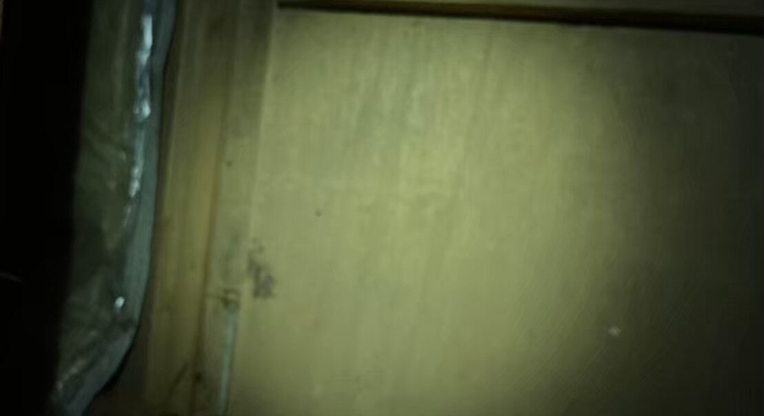 イタチ・アライグマによる被害　A様邸　駆除実績