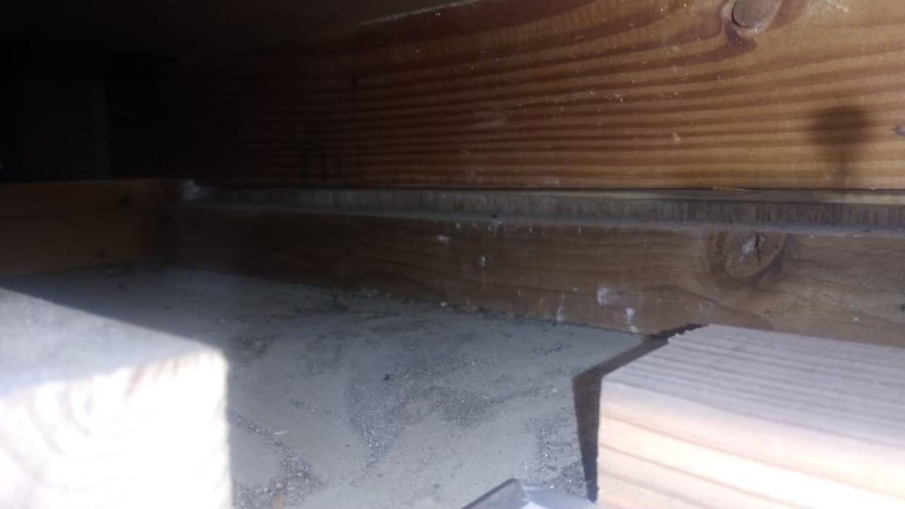 イタチ・アライグマによる被害　A様邸　駆除実績