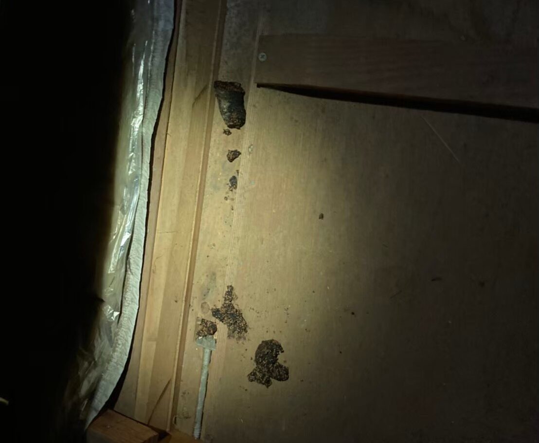 イタチ・アライグマによる被害　A様邸　駆除実績