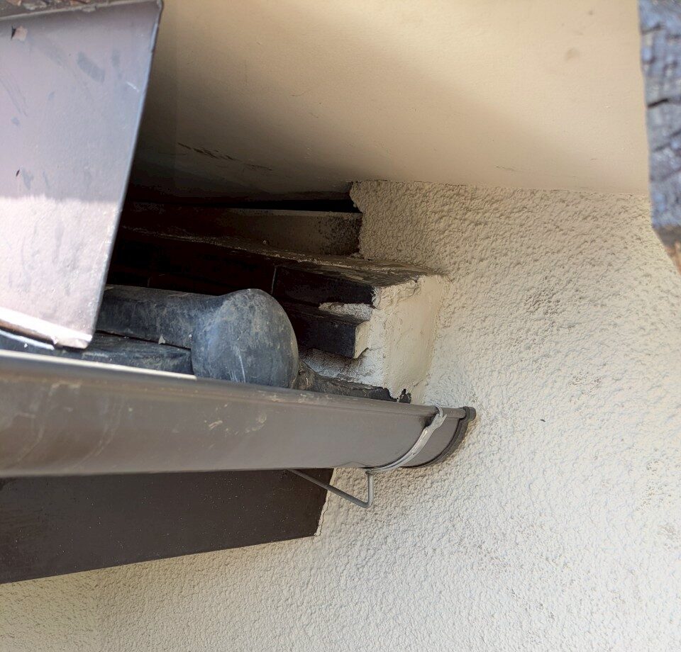 山口県宇部市　アライグマによる被害　N様邸　駆除実績