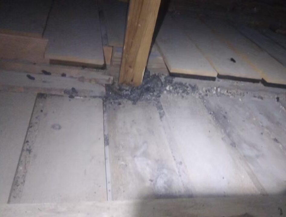 アライグマによる被害　S様邸　駆除実績