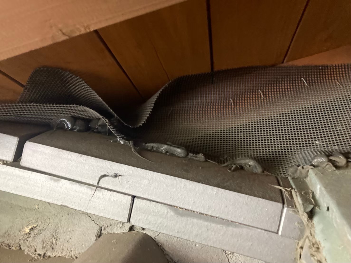 アライグマによる被害　S様邸　駆除実績