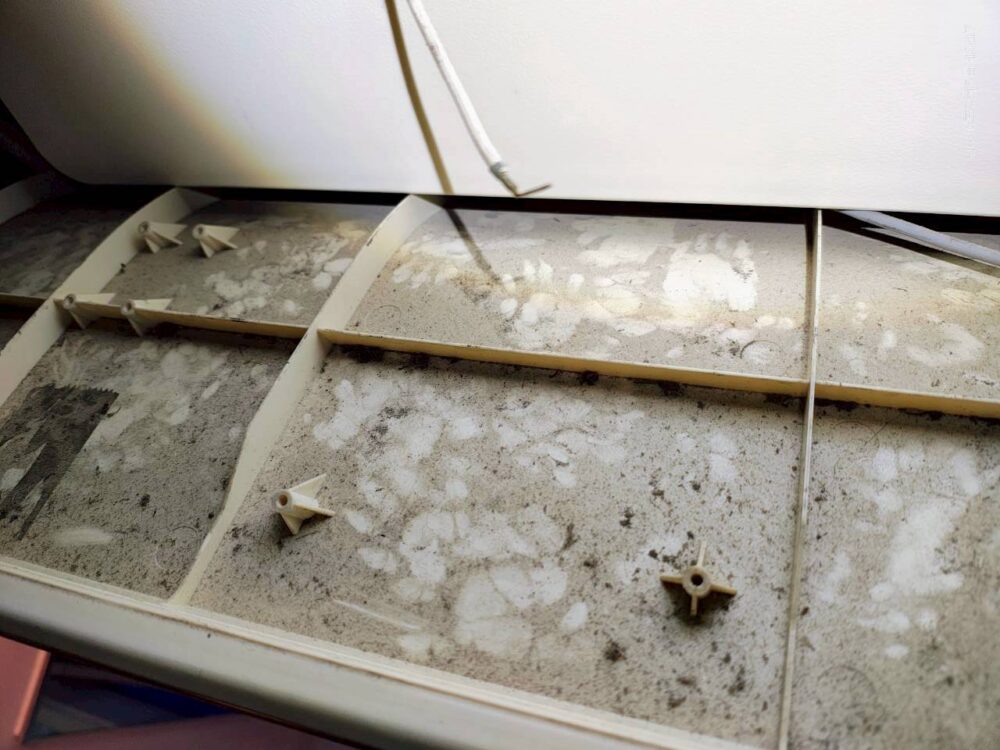 長崎県川棚町　アライグマによる被害　U様邸　駆除実績