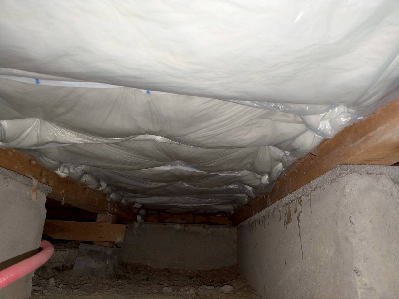 大分県中津市　アライグマによる被害　H様邸　駆除実績