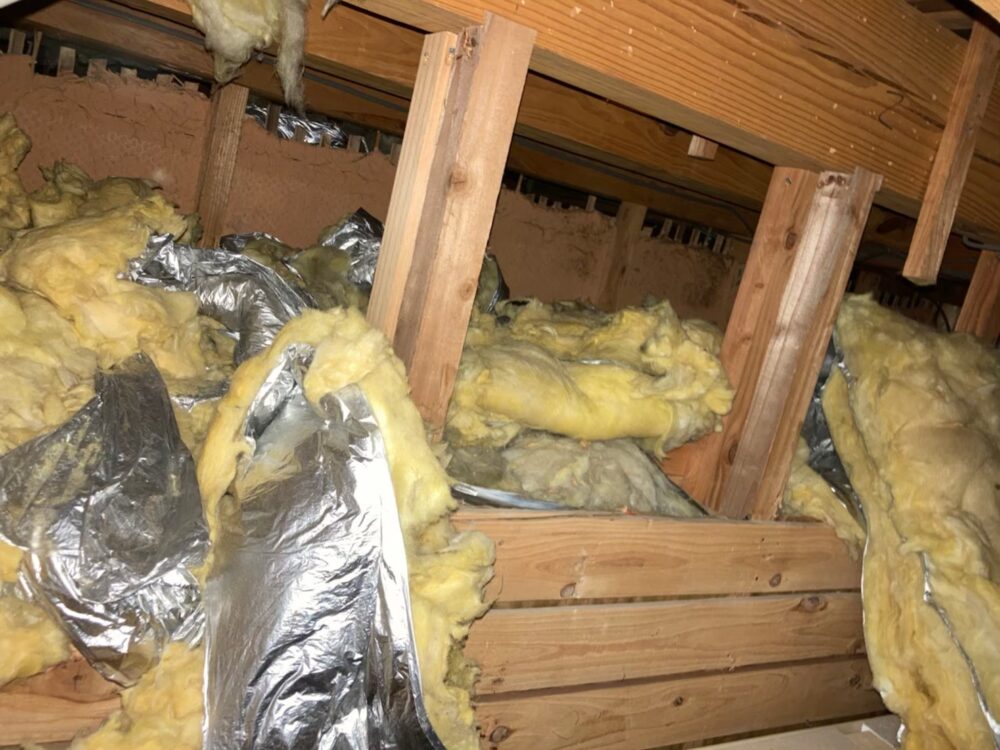 佐賀県伊万里市　アライグマによる被害　M様邸　駆除実績