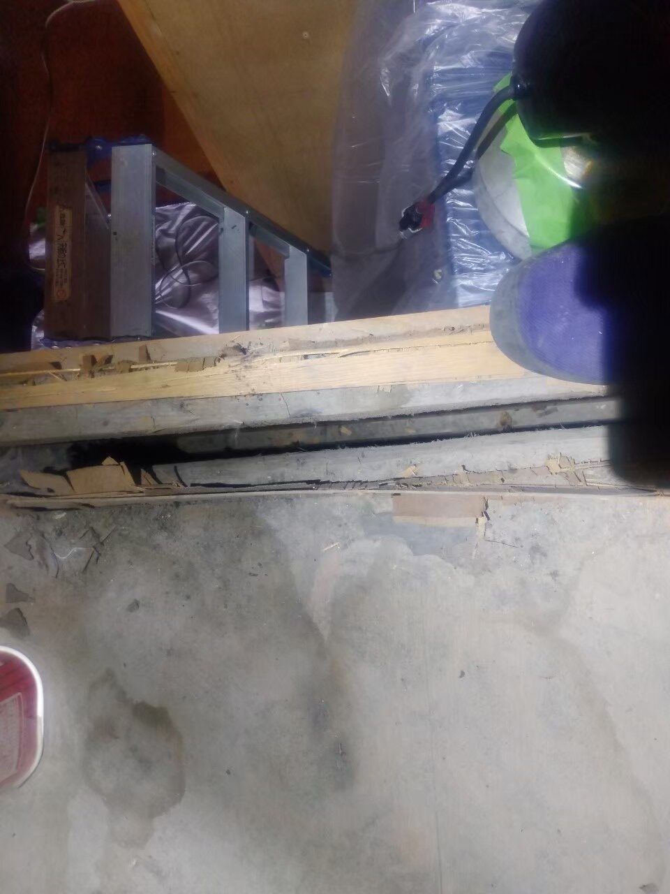 熊本県荒尾市　アライグマによる被害　U様邸　駆除実績