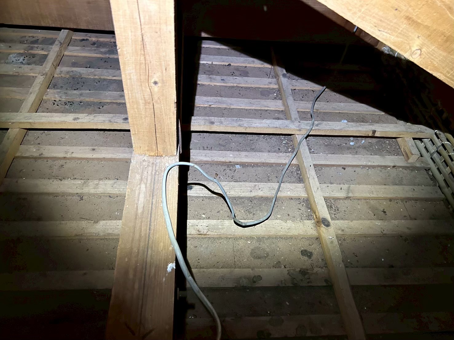 福岡県八女市　アライグマによる被害　K様邸　駆除実績