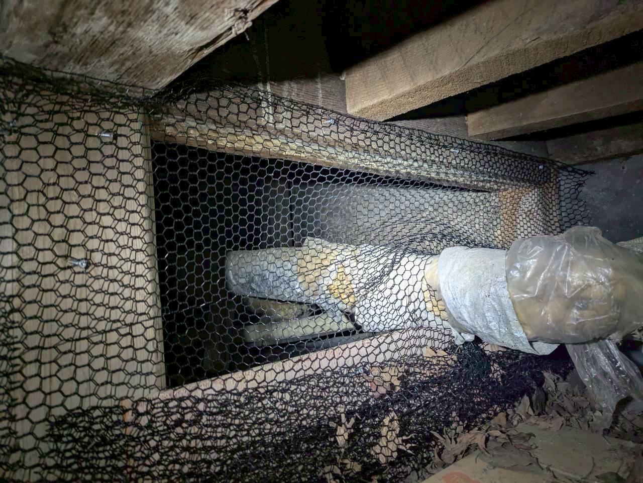 福岡県宗像市　アライグマによる被害　U様邸　駆除実績