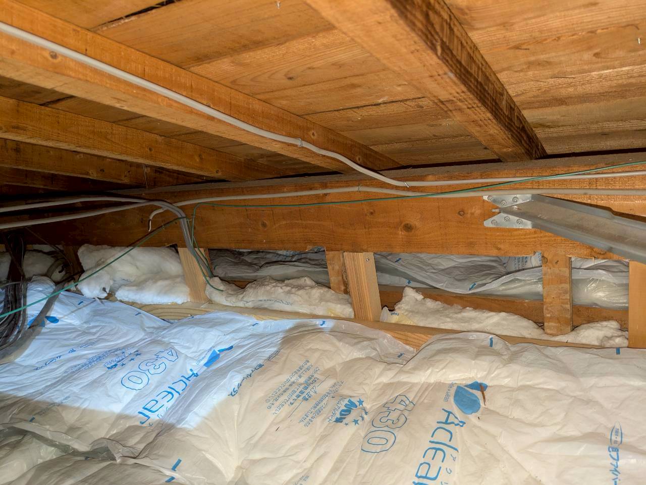 熊本県阿蘇市　アライグマによる被害　O様邸　駆除実績