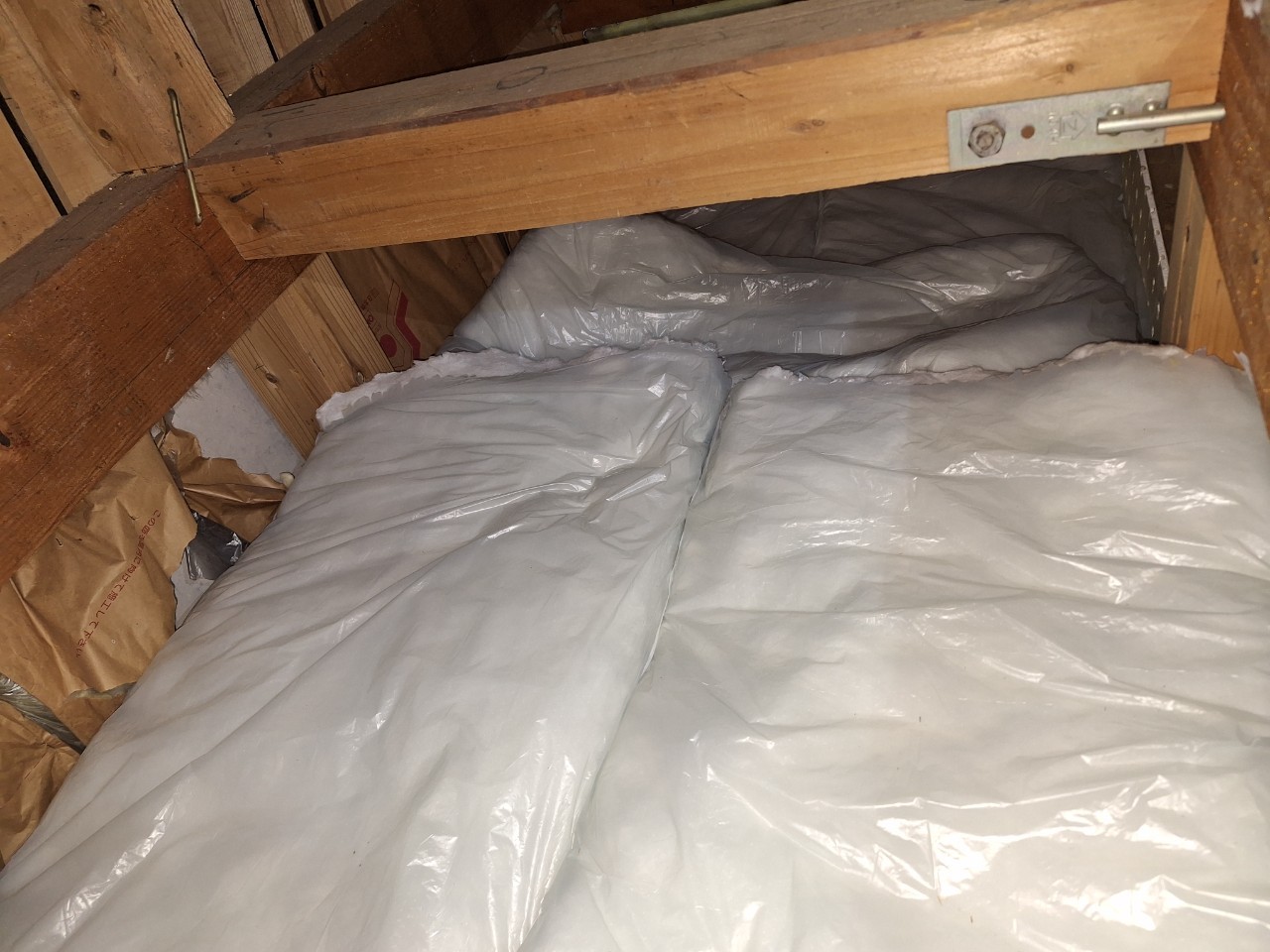 山口県山陽小野田市　アライグマによる被害　T様邸　駆除実績