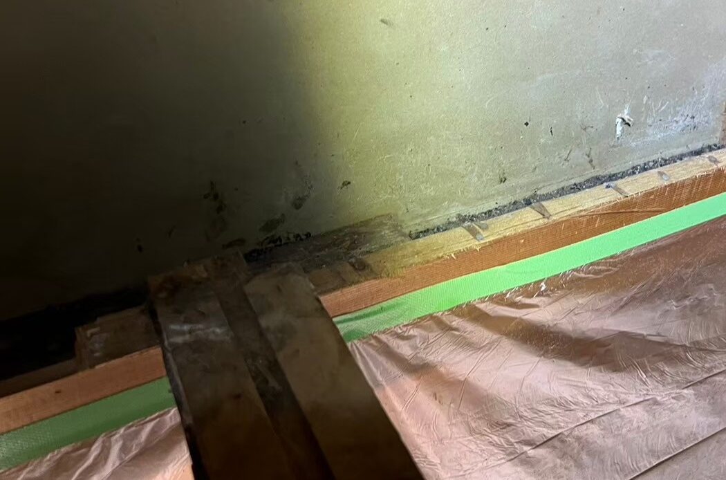 大分県玖珠町　アライグマによる被害　U様邸　駆除実績