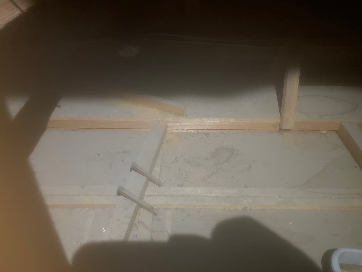 福岡県遠賀郡岡垣町　アライグマによる被害　Y様邸　駆除実績