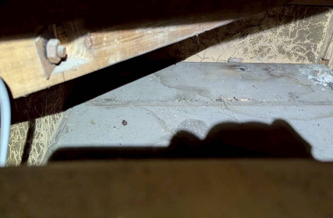 山口県下関市　アライグマによる被害　A様邸　駆除実績