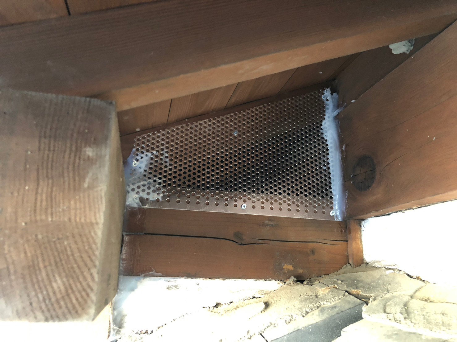 佐賀県杵島郡大町町　アライグマによる被害　G様邸　駆除実績