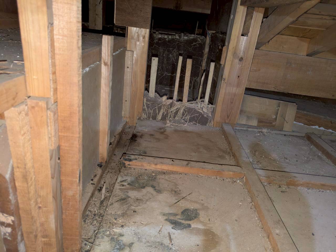 福岡県田川郡川崎町　アライグマによる被害　T様邸　駆除実績