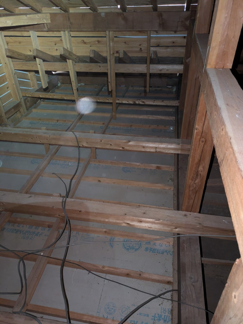 熊本県合志市　アライグマによる被害　D様邸　駆除実績