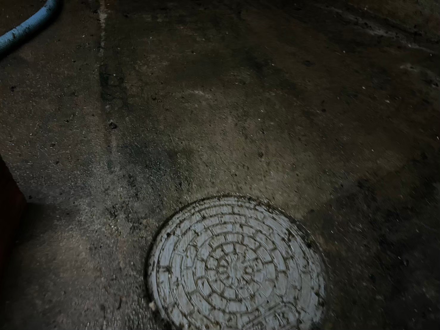 福岡県遠賀郡岡垣町　アライグマによる被害　Y様邸　駆除実績