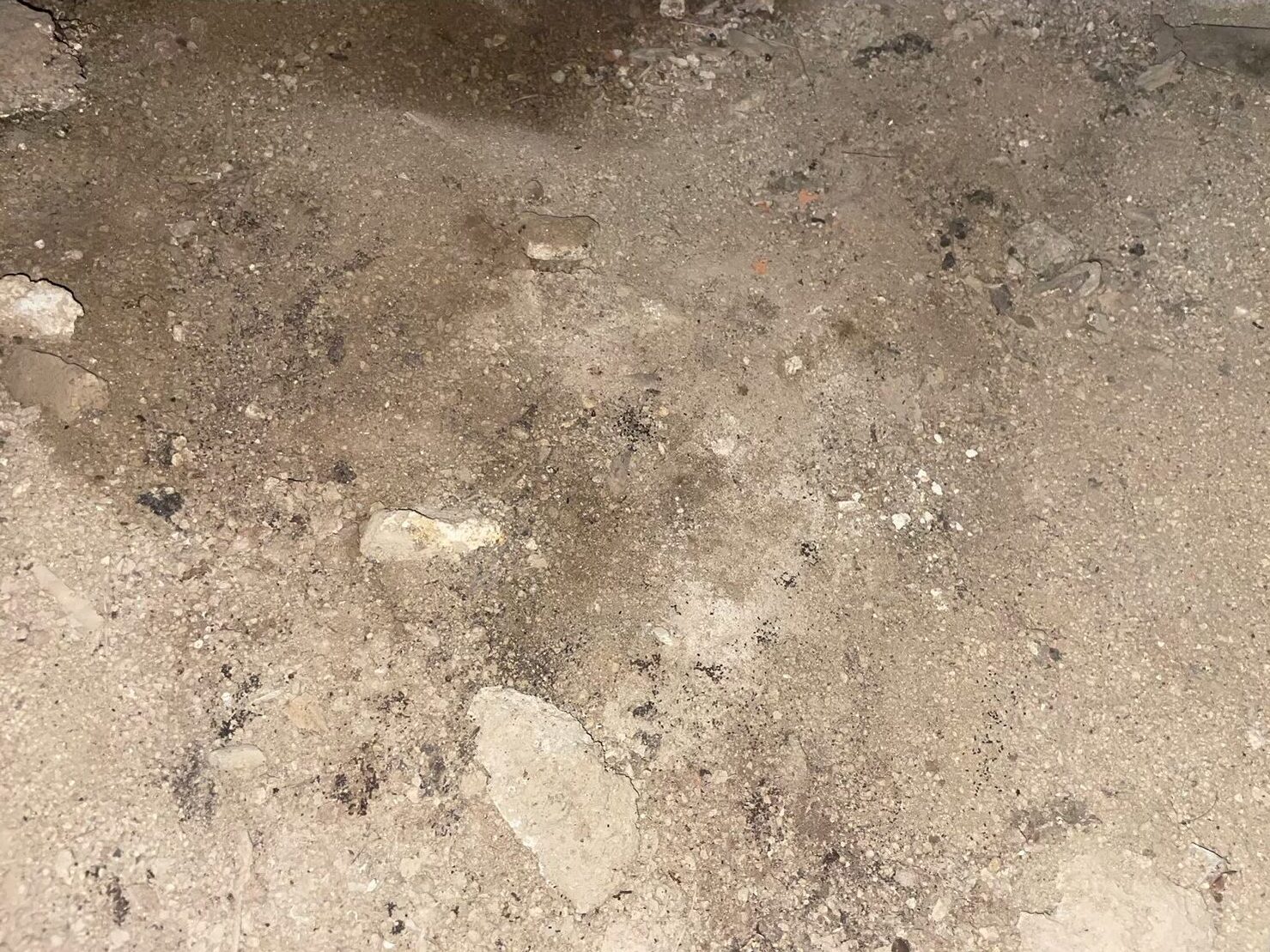 福岡県柳川市　アライグマによる被害　S様邸　駆除実績