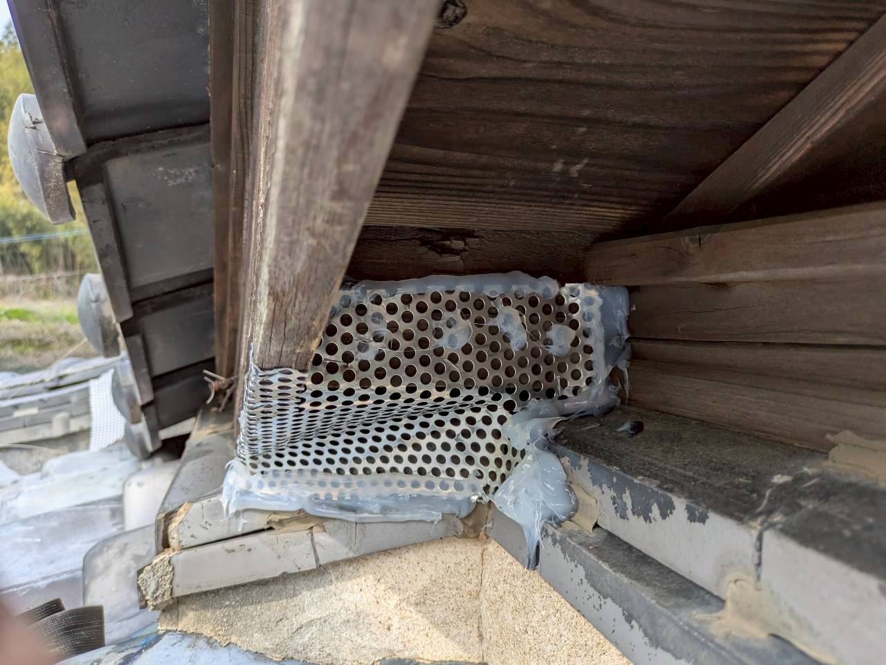 福岡県田川郡川崎町　アライグマによる被害　T様邸　駆除実績