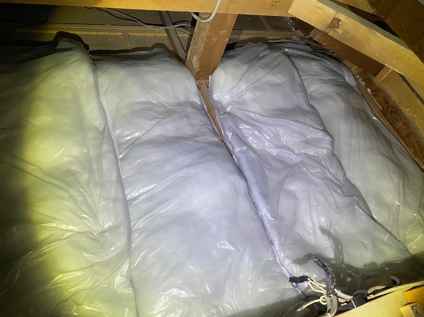 熊本県荒尾市　アライグマによる被害　U様邸　駆除実績