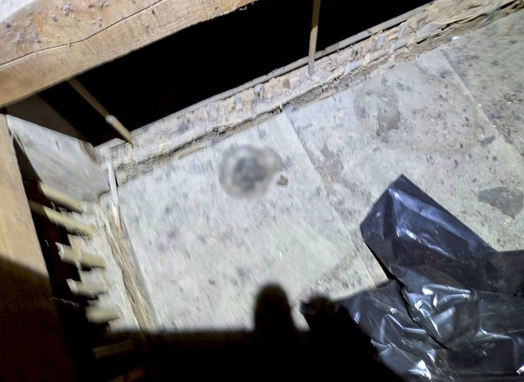 福岡県豊前市　アライグマによる被害　A様邸　駆除実績