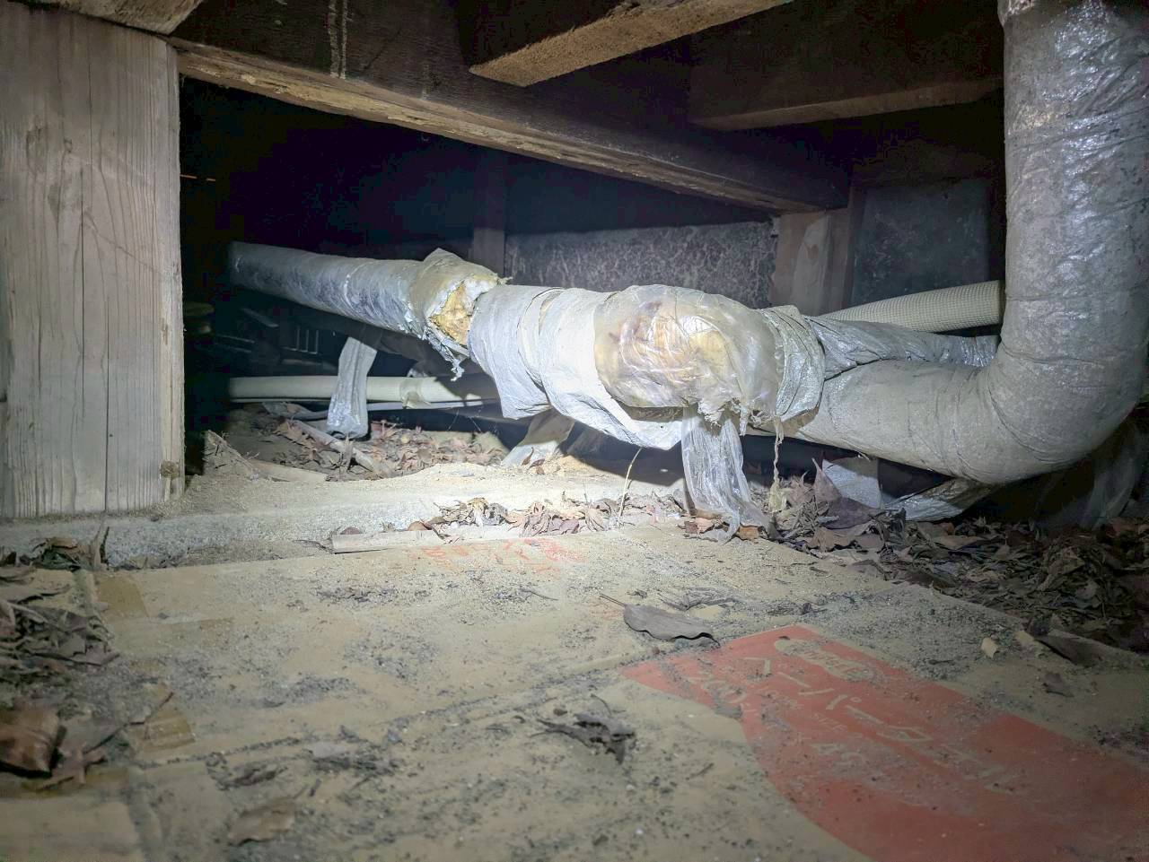 福岡県宗像市　アライグマによる被害　U様邸　駆除実績