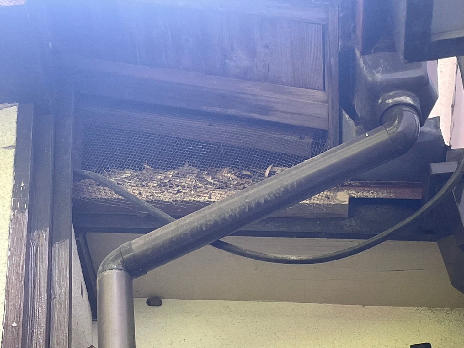 佐賀県鳥栖市　アライグマによる被害　K様邸　駆除実績