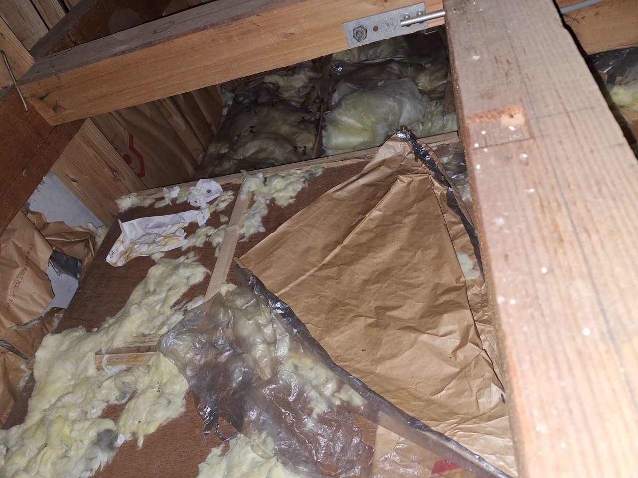 山口県山陽小野田市　アライグマによる被害　T様邸　駆除実績