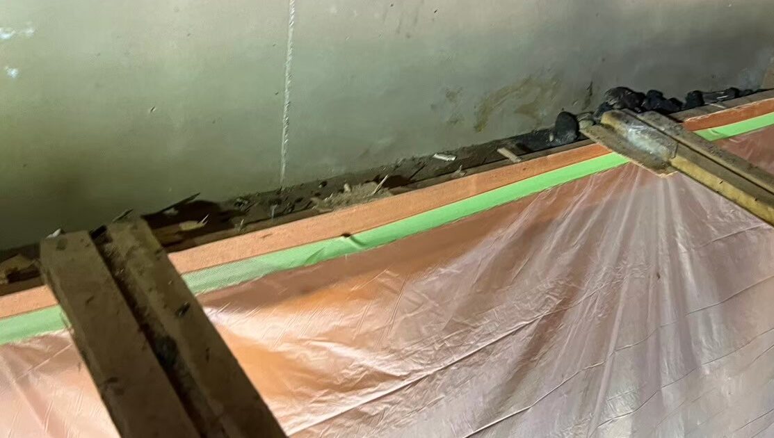 大分県玖珠町　アライグマによる被害　U様邸　駆除実績