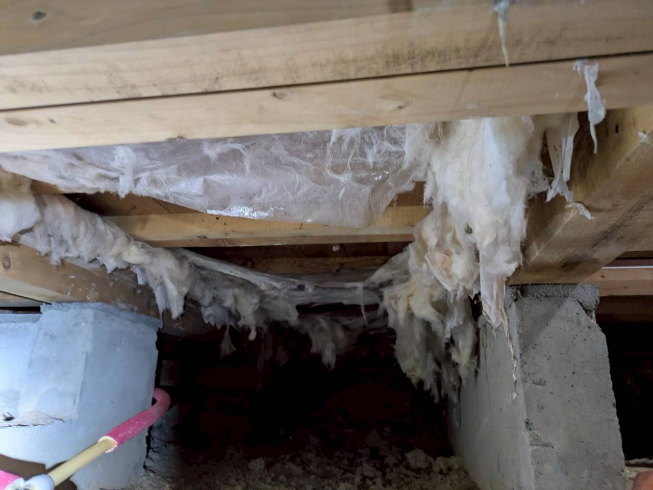 福岡県朝倉郡東峰村　アライグマによる被害　W様邸　駆除実績
