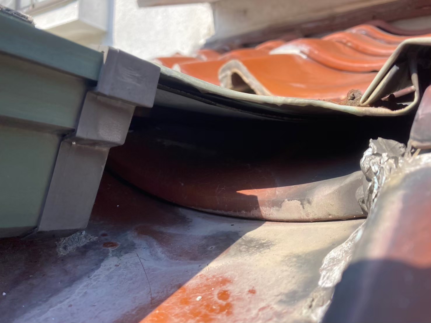福岡県宗像市　アライグマによる被害　N様邸　駆除実績