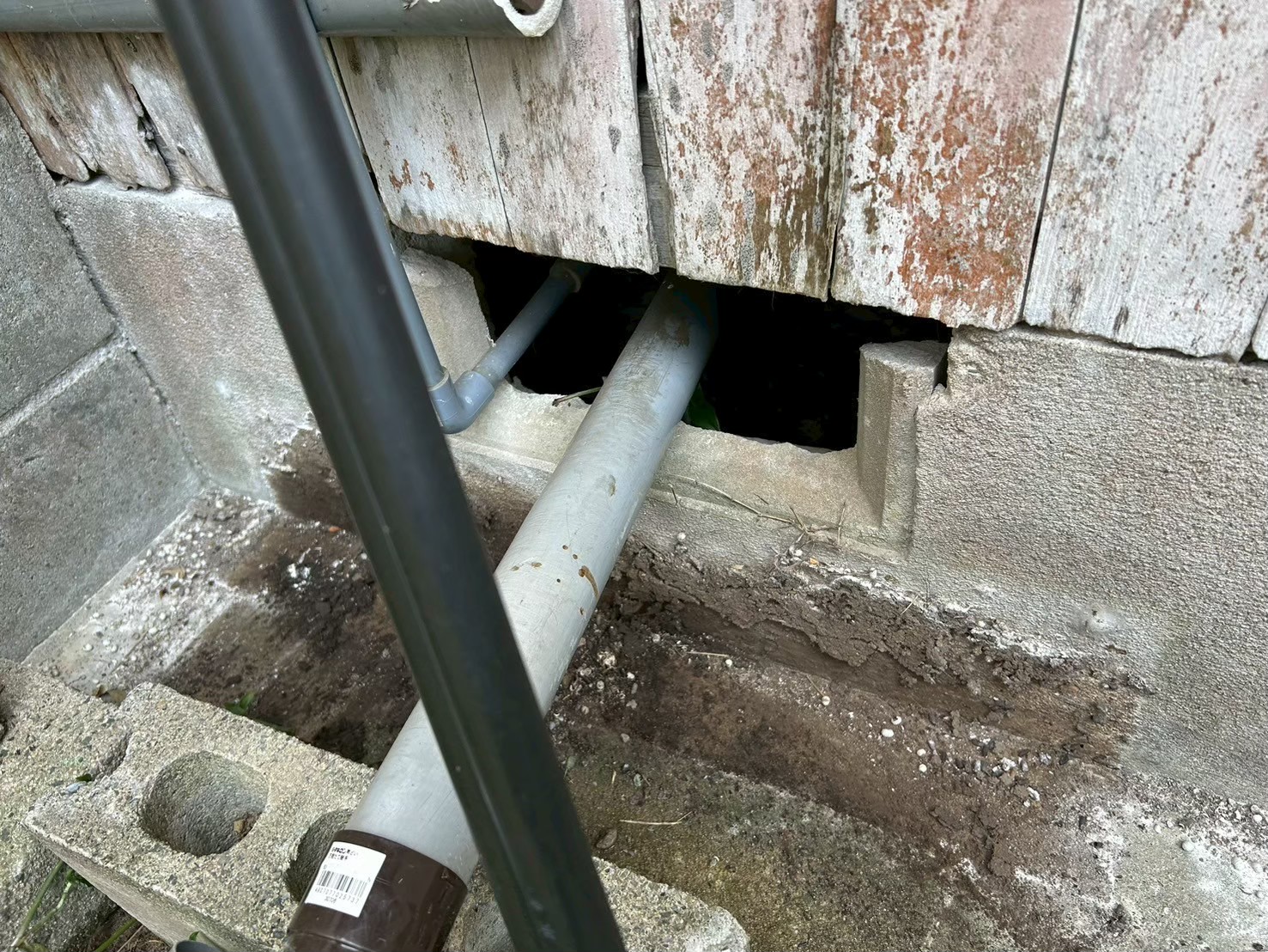 佐賀県杵島郡大町町　アライグマによる被害　K様邸　駆除実績