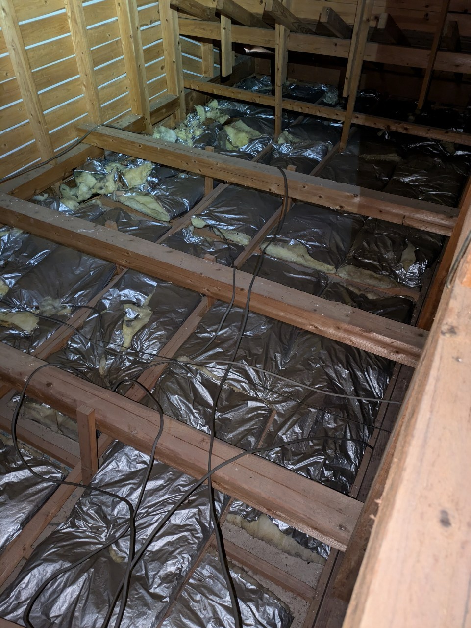 熊本県合志市　アライグマによる被害　D様邸　駆除実績