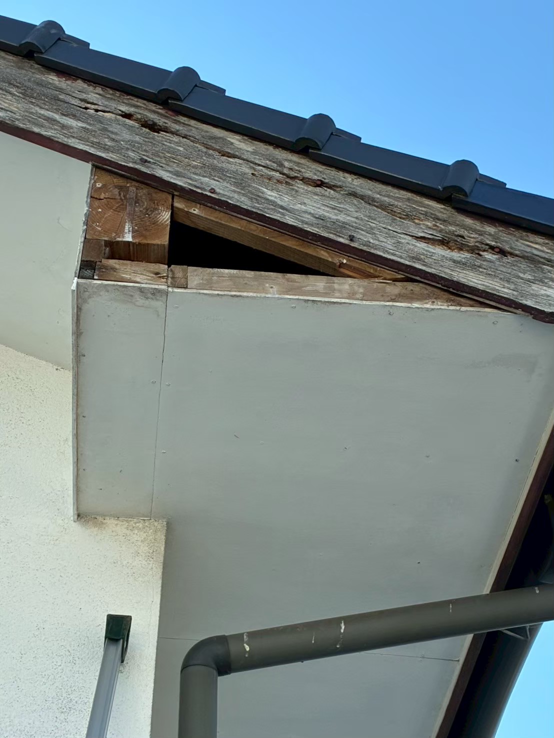 福岡県小郡市　アライグマによる被害　N様邸　駆除実績